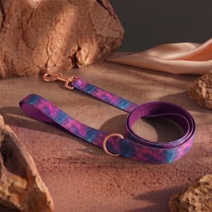 Cosmic Nebula - Leash