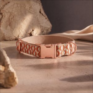 Desert Mirage - Collar