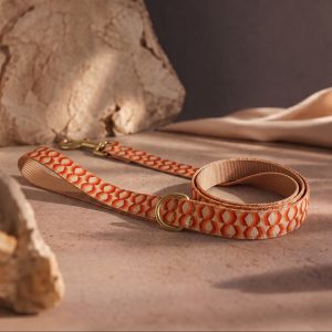 Desert Mirage - Leash