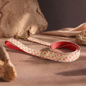 Guac & Roll - Leash