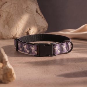 Night Owl  - Collar