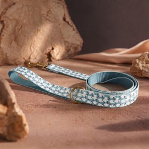 Oxford Mist - Leash
