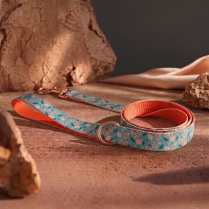 Pitaya Punch - Leash