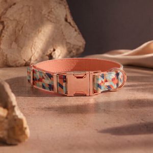 Sand Dune - Collar