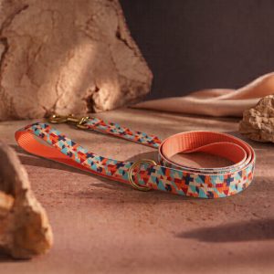 Sand Dune - Leash