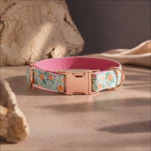 Valencia Sunset - Collar